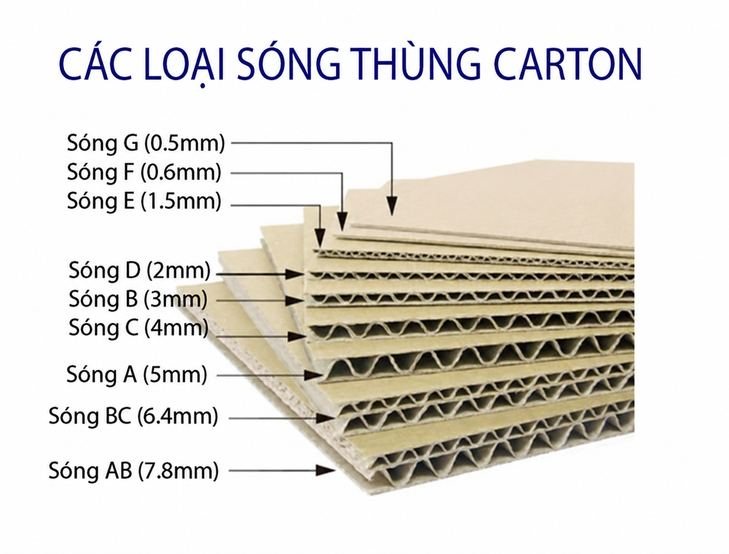 Trực quan mặt cắt các cấu trúc sóng A - B - C - E - BC